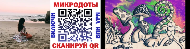 kraken вход  Котовск  Галлюциногенные грибы Magic Shrooms  магазин   